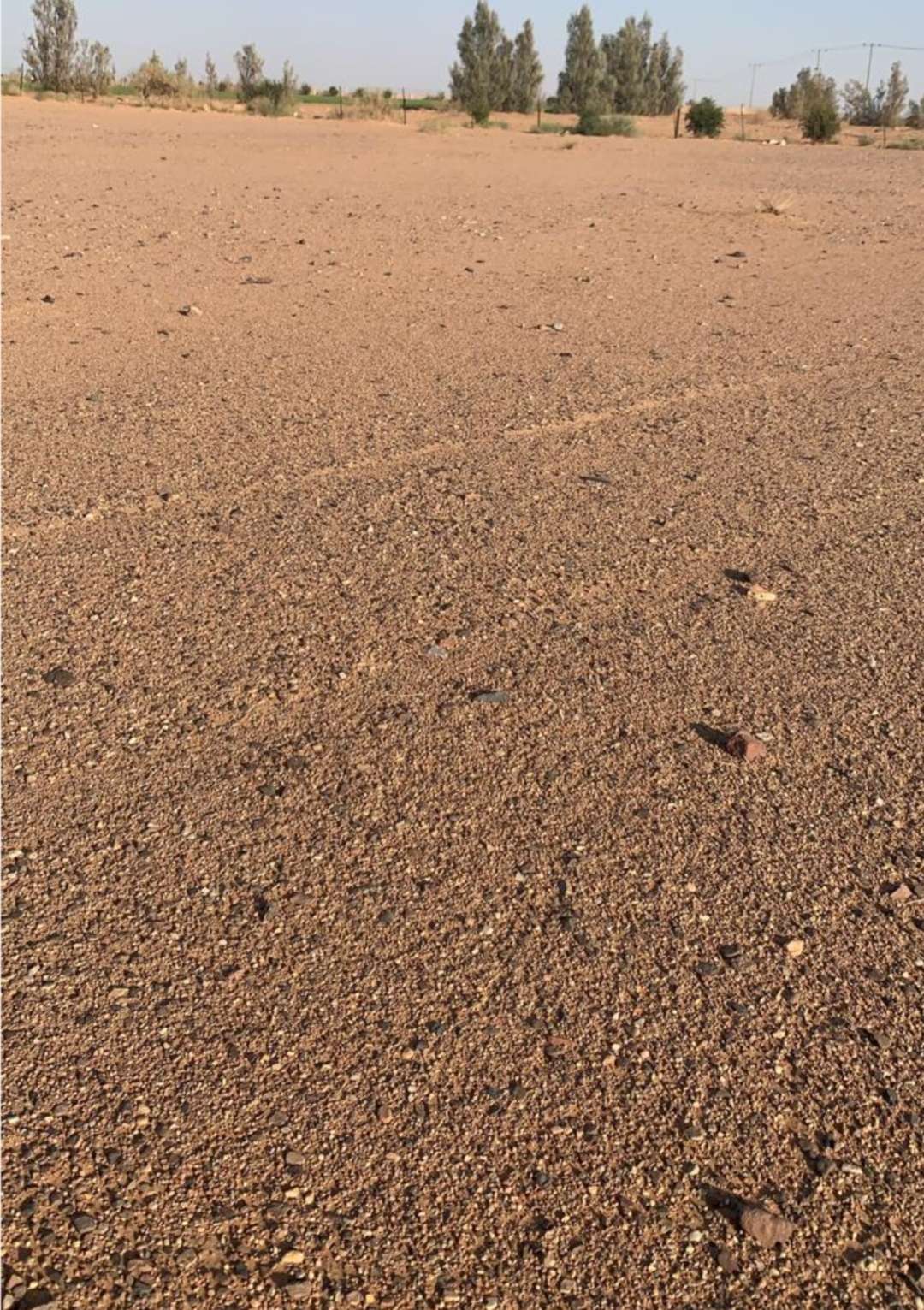 للبيع ارض طابو اخضرداريا الشرقية مساحة 18 قصبة درب حديد قرب جامع السلام 0937088893